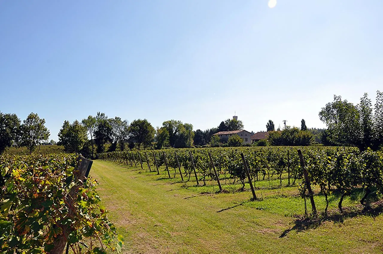Alloggio per agriturismo Azienda Agrituristica Armea Desenzano del Garda Italia